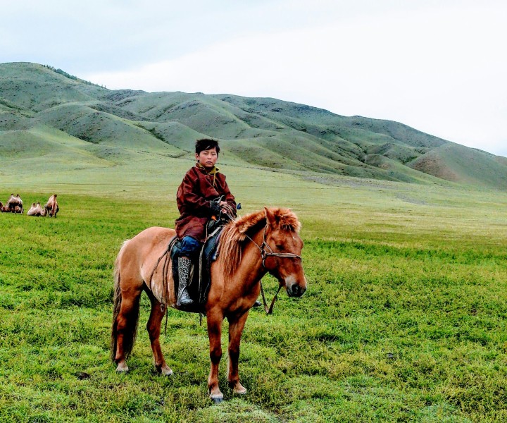 Passionate Travel Enthusiasts Dedicated to Sharing the Wonders of Mongolia with You