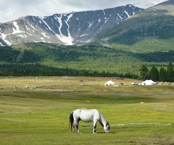 Embark on Your Epic Adventure with Asiana Travel